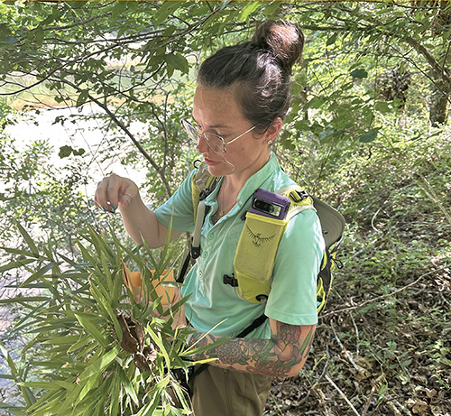 New field guide plants the seeds of cultural knowledge
